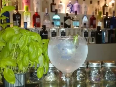 Wine-Bars&Cafés-viana-do-castelo